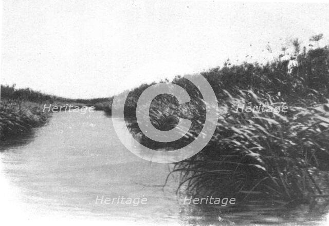 ''Un coin des bords du lac Bangweulu; Afrique Australe', 1914. Creator: Unknown.