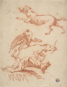 Sketches of Romping Dogs, n.d. Creator: Probably Abraham Hondius (Dutch, c. 1625-1695) or possibly Johann Elias Ridinger (German, 1698-1767) or possibly Jan Fyt (Flemish, 1611-1661).