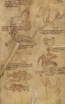 Constellation Diagrams, early 13th century. Creator: Unknown.