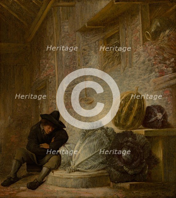 Boy Sleeping in a Barn. Creator: Francois Ryckhals.