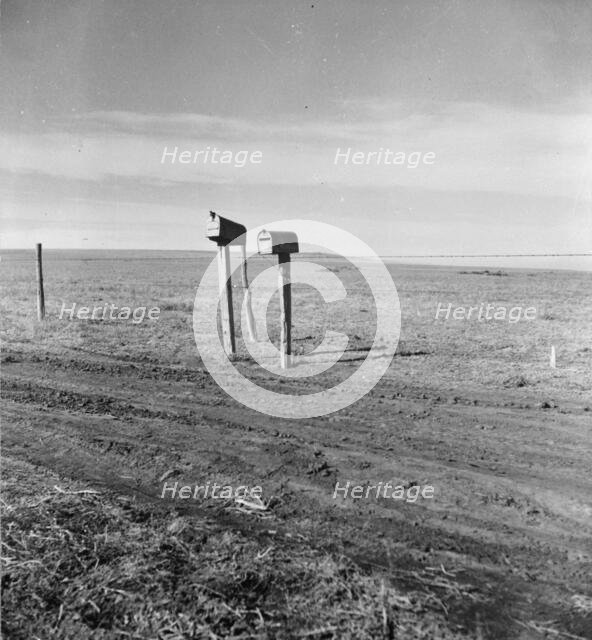 The rolling lands used for grazing near Mills, New Mexico, 1935. Creator: Dorothea Lange.