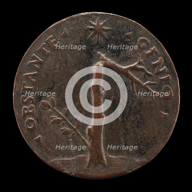 Broken Laurel Tree with Leafy Branch [reverse], probably 1532. Creator: Andrea Briosco.