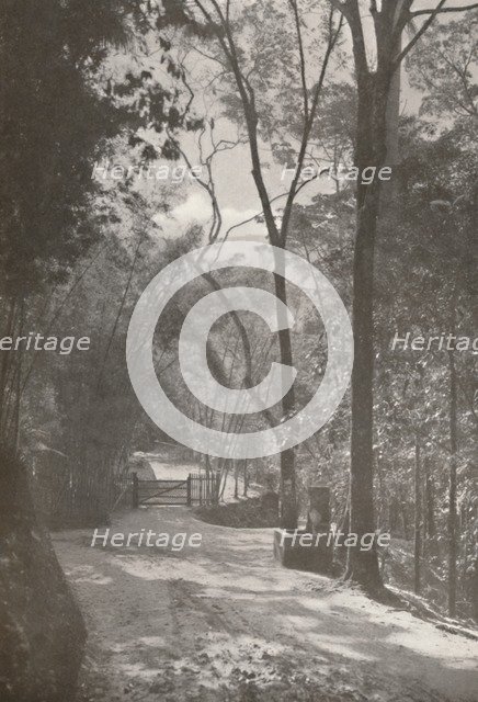 'The Spirit of Tijuca', 1914. Artist: Unknown.