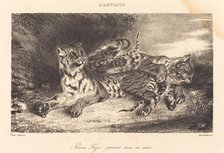 Young Tiger Playing with its Mother (Jeune tigre jouant avec sa mère), 1831. Creator: Eugene Delacroix.