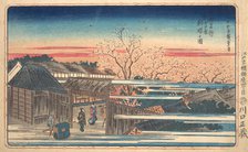 Morning Cherry Blossoms at Shin-Yoshiwara. Creator: Ando Hiroshige.