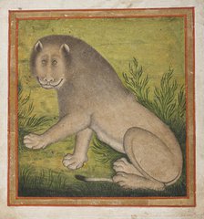 Lion (image 1 of 4), c1800. Creator: Unknown.
