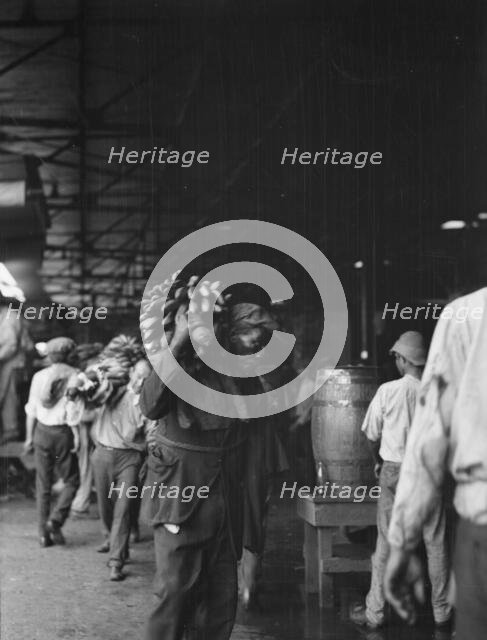 Unloading bananas, New Orleans, between 1920 and 1926. Creator: Arnold Genthe.