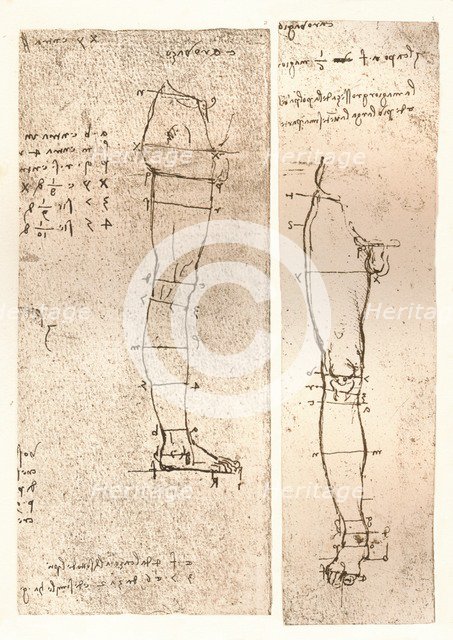 Two drawings illustrating the theory of the proportions of the human figure, c1472-c1519 (1883). Artist: Leonardo da Vinci.