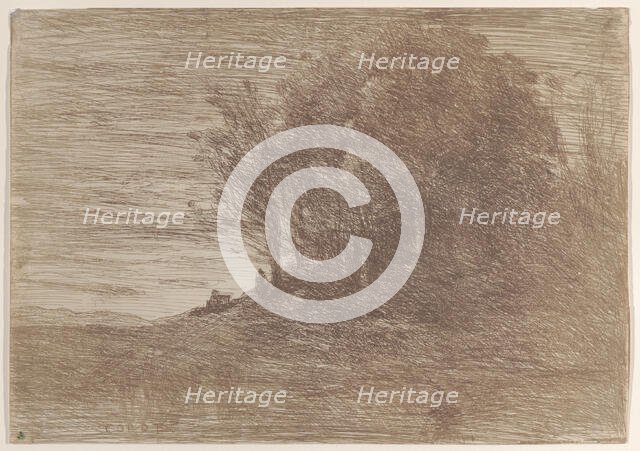 The Woods of the Hermit (Le Bois de l'ermite), 1858. Creator: Jean-Baptiste-Camille Corot.