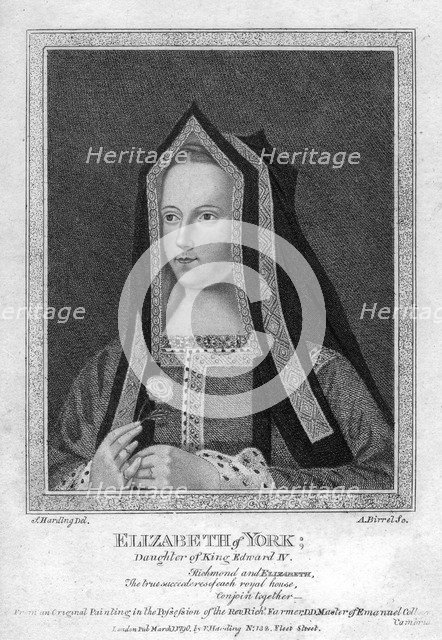 Elizabeth of York, Queen Consort of King Henry VII, (1790).Artist: A Birrell