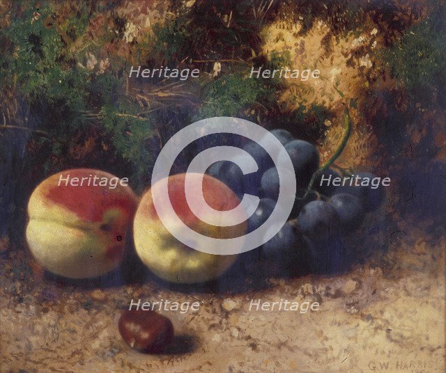 'Peaches and Grapes', 1864. Artist: George Walter Harris