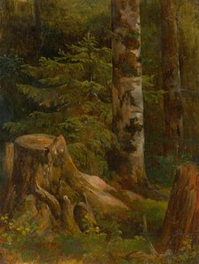 Coniferous woods, interior, 1860-1890. Creator: Friedrich Carl von Scheidlin.