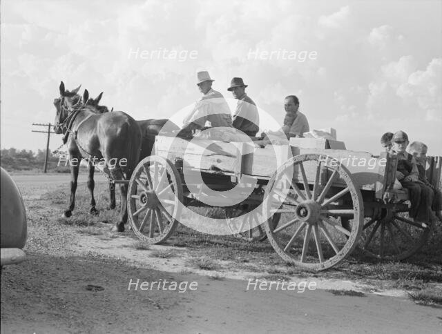 Horse and wagon is still a common means of transportation..., Southeast Missouri Farms, 1938. Creator: Dorothea Lange.