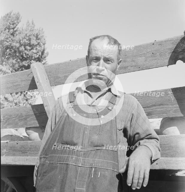 FSA tenant purchase clients, Greeks, Near Manteca, California, November 1938. Creator: Dorothea Lange.