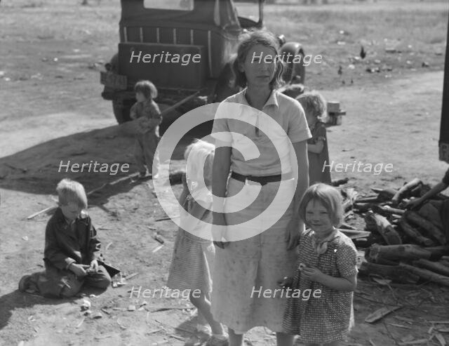 Oklahoma mother of five children, now picking cotton in California, near Fresno, 1936. Creator: Dorothea Lange.