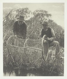 Setting Up the Bow-Net, 1886. Creator: Peter Henry Emerson.