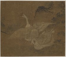 Pair of domestic geese, Possibly Ming dynasty, 1368-1644. Creator: Unknown.