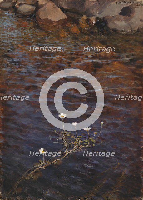 Pond Water Crowfoot, 1895. Creator: Eero Jarnefelt.