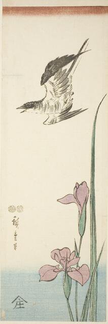 Cuckoo and iris, c. 1847/52. Creator: Ando Hiroshige.