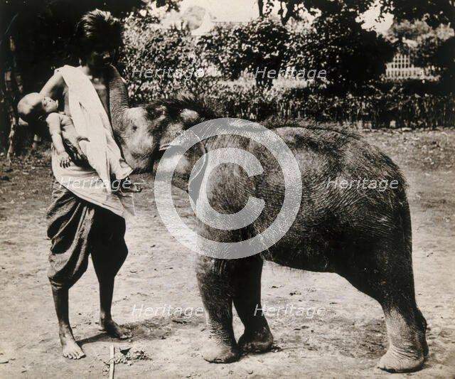 A woman and a child; the woman is suckling a baby white elephant, c1870s. Creator: Unknown.
