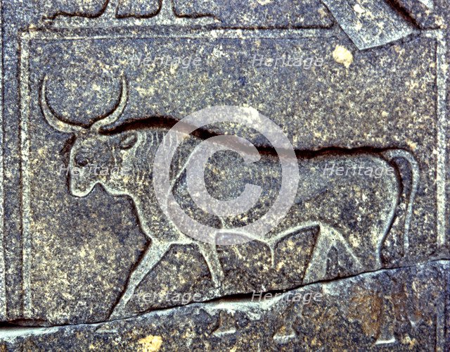 Negative relief on a pillar of Ramses II with the image of a bull, 1250 b.C..