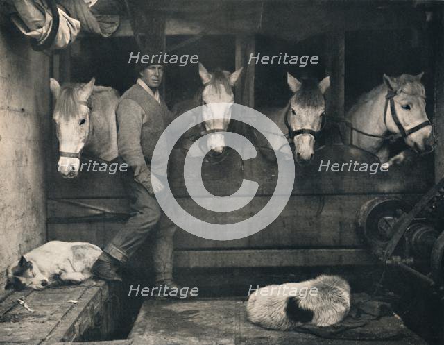 'Captain Oates, on the "Terra Nova" with the Siberian Ponies', c1911, (1914).  Creator: Herbert Ponting.