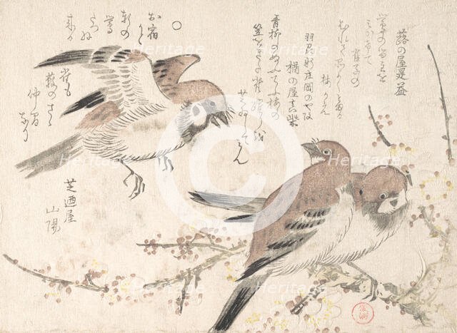 Sparrows and Plum Blossoms, 19th century. Creator: Kubo Shunman.
