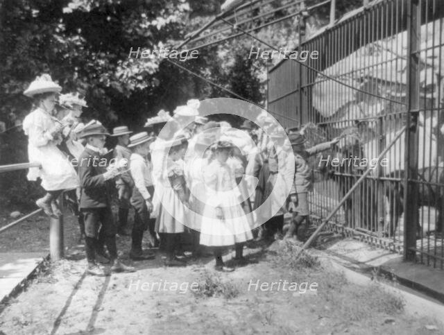 Group of public school children looking at bears in the National Zoo(?), Washington, D.C., (1899?). Creator: Frances Benjamin Johnston.