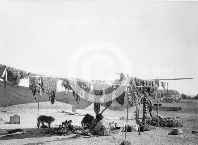 In camp, 1908, c1908. Creator: Edward Sheriff Curtis.