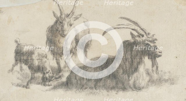 Ram, Ewe and Kid, 17th century. Creator: Marcus de Bye.