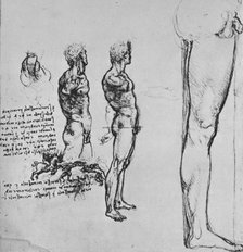 'Studies of Nudes and Smaller Sketch of a Battle', c1480 (1945). Artist: Leonardo da Vinci.