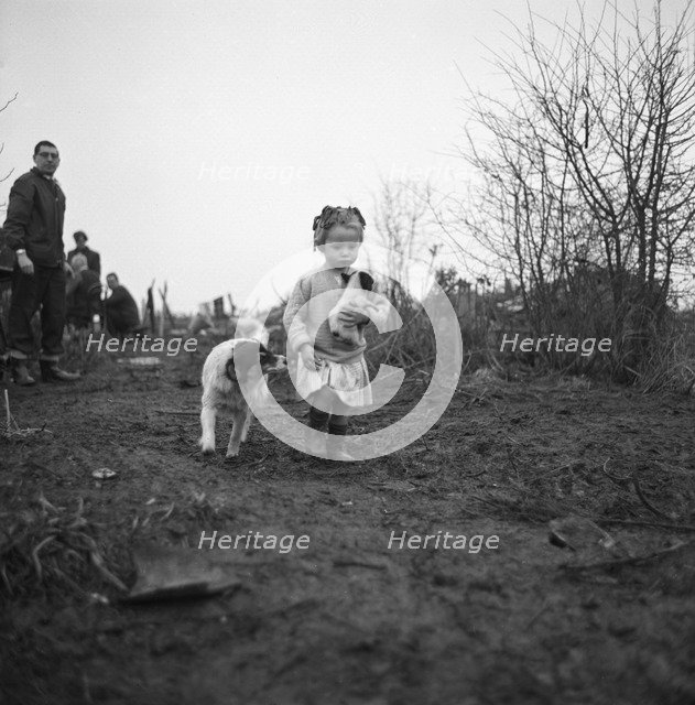 Gipsy child with a puppy, Lewes, Sussex, 1963.