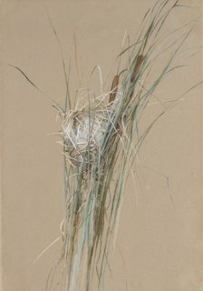 Bird's Nest in Cattails, ca. 1875. Creator: Fidelia Bridges.