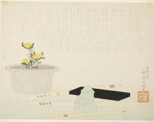 Potted adonis with writing implements, 1800. Creator: Hishikawa Sori.