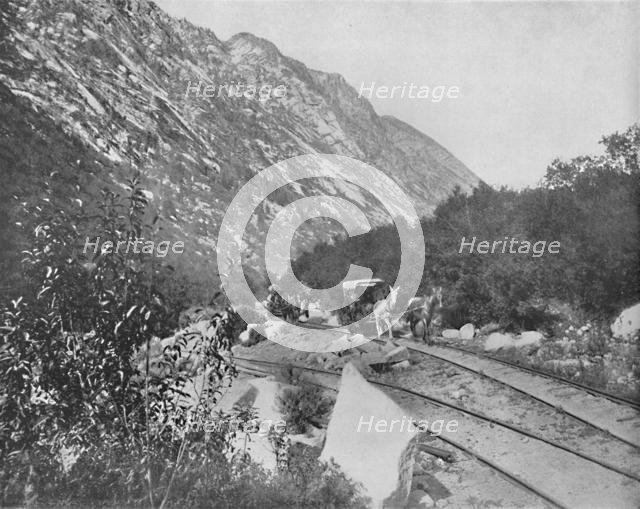 'Cottonwood Canon, Utah', c1897. Creator: Unknown.