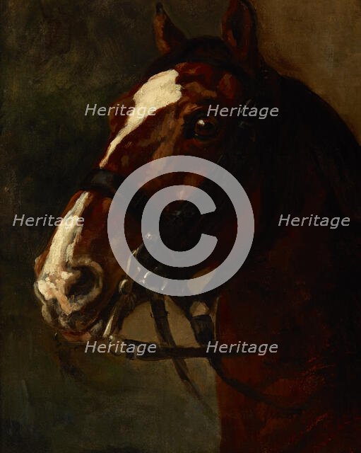 Bay Horse's Head, between 1833-1834. Creator: Piotr Michalowski.
