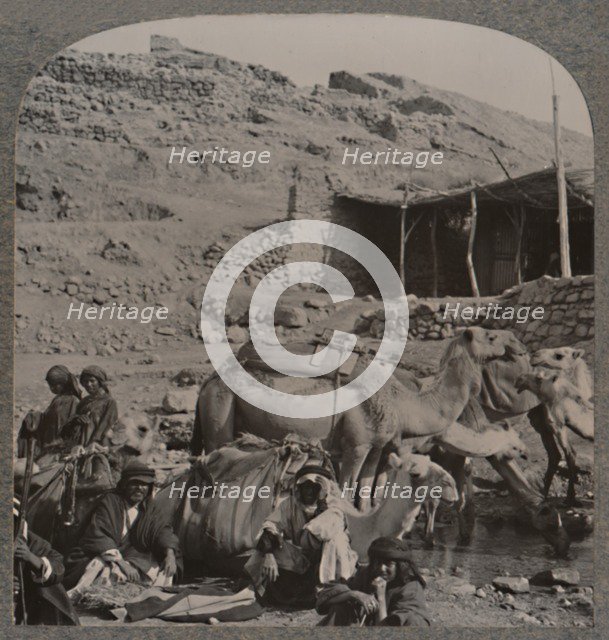 'Camel train from Jerash, watering at the Fountain of Elisha', c1900. Artist: Unknown.