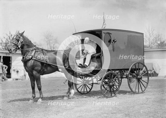 Horse Shows - Horse And Wagon, 1911. Creator: Harris & Ewing.
