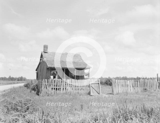 Plantation cotton cabin (Negro), Mississippi Delta, near Vicksburg, 1936. Creator: Dorothea Lange.
