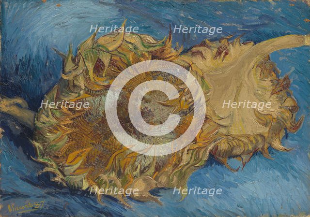 Sunflowers, 1887. Creator: Vincent van Gogh.