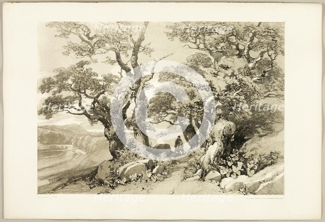Old Oaks, from The Park and the Forest, 1841. Creator: James Duffield Harding.