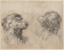 Two Camel Heads [recto], probably 1649. Creator: Stefano della Bella.