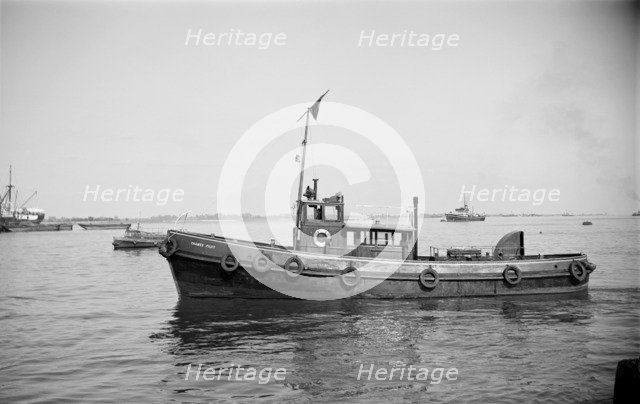 Thames pilot launch, Gravesend, Kent, c1945-c1965. Artist: SW Rawlings