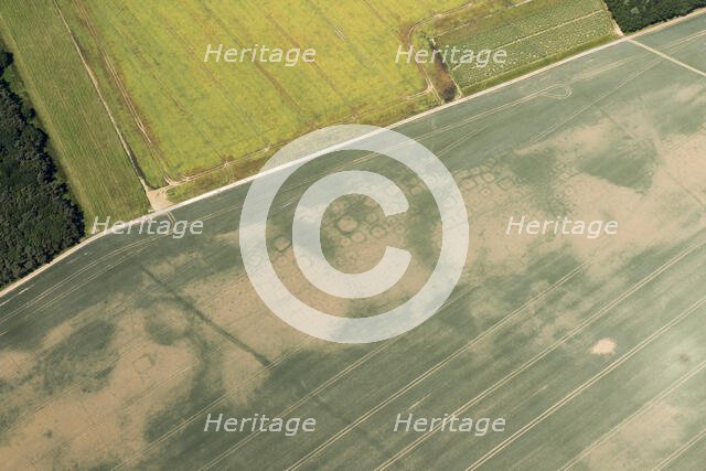 Iron Age square barrow cemetery crop mark on Haisthorpe Moor, East Riding of Yorkshire, 2018. Creator: Historic England.