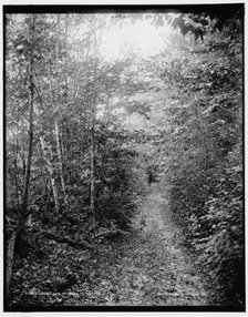 Lovers lane at Ne-ah-ta-wan-ta, between 1890 and 1901. Creator: Unknown.