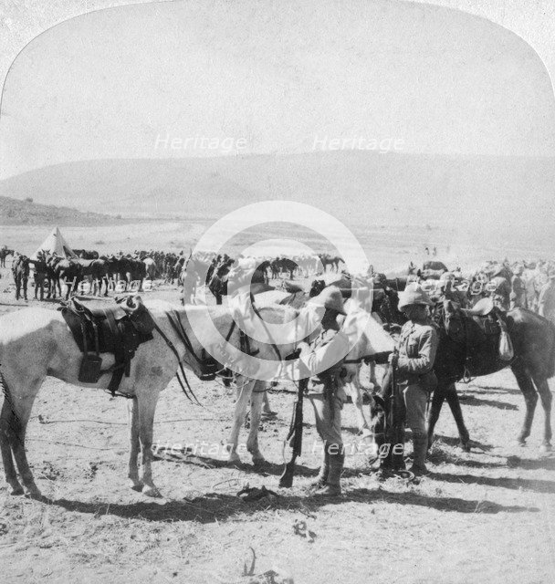 Australian Mounted Rifles after a skirmish at the Modder River, South Africa, 12th January 1900.Artist: Underwood & Underwood