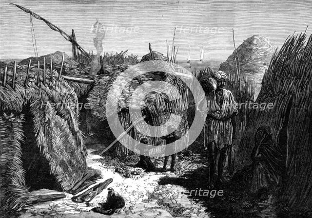 The Cholera in Egypt: its source and cause - village of fishermen on Fly Island, Lake Menzaleh, 1883 Creator: Unknown.