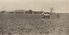 Marsh Farm in Early Spring, 1890-1891, printed 1893. Creator: Dr Peter Henry Emerson.