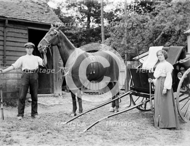 Horse and trap, c1896-c1920. Artist: SWA Newton.