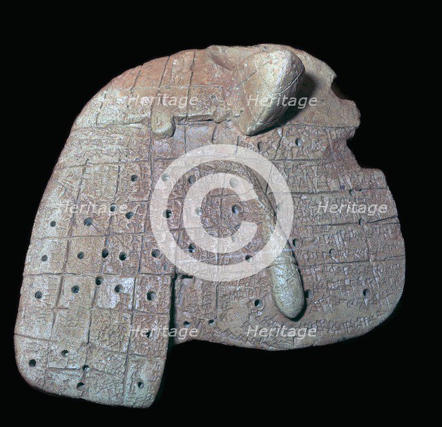 Clay model of a sheep's liver, Old Babylonian, c1900-1600 BC. Probably from Sippar, southern Iraq. Artist: Unknown